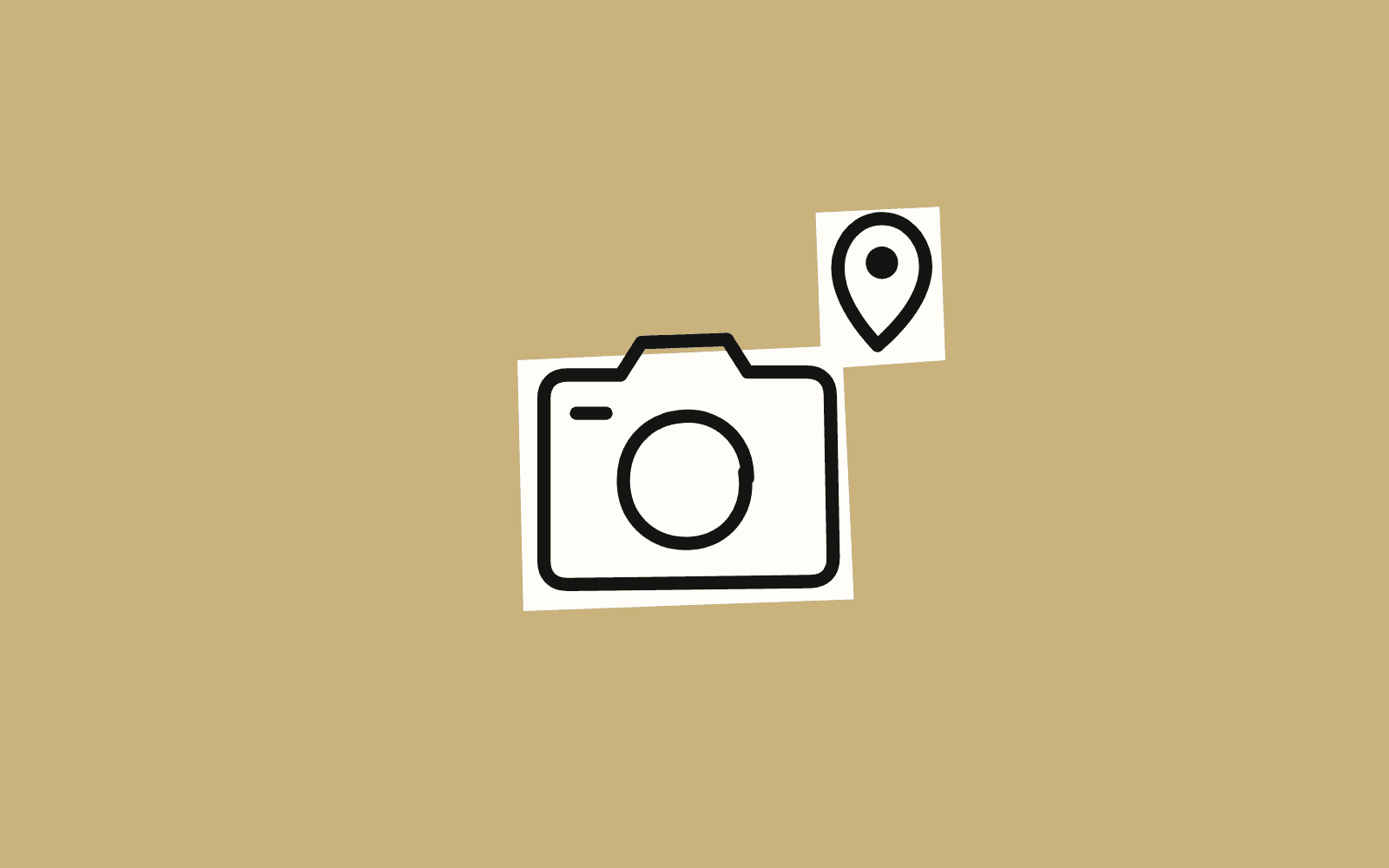 Wedding Photographers in Mansoura: Six Studios to Compare